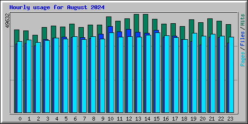 Hourly usage for August 2024