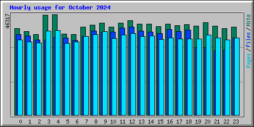 Hourly usage for October 2024