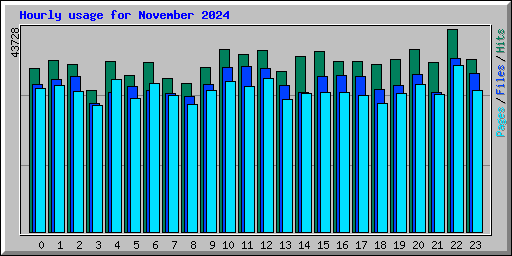 Hourly usage for November 2024